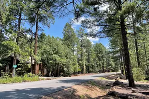 8239 Buck Springs Rd, Pinetop, AZ 85935 - Photo 28
