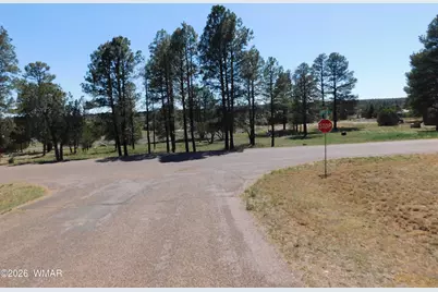 2215 Country Club Drive, Overgaard, AZ 85933 - Photo 2