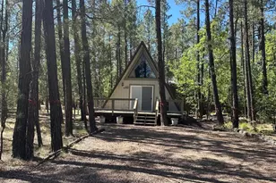 2035 Wild Oak Trail Ln, Pinetop, AZ 85935 - Photo 18