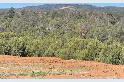 1751 Forest Service Rd 163, Clay Springs, AZ 85923 - Photo 2