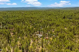 779 Lone Wolf Ln, Lakeside, AZ 85929 - Photo 38