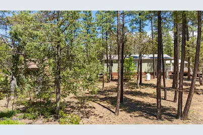 779 Lone Wolf Lane, Lakeside, AZ 85929 - Photo 34