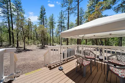 779 Lone Wolf Lane, Lakeside, AZ 85929 - Photo 12