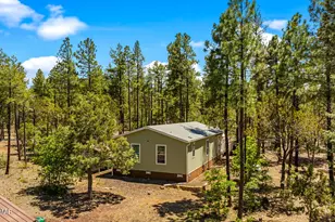 779 Lone Wolf Ln, Lakeside, AZ 85929 - Photo 36