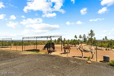 512 Fieldy Road, Show Low, AZ 85901 - Photo 100