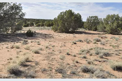 176 Cr N5549, Concho, AZ 85924 - Photo 8