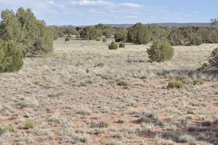 176 Cr N5549, Concho, AZ 85924 - Photo 1