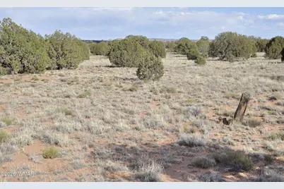 176 Cr N5549, Concho, AZ 85924 - Photo 10