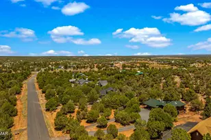 6720 Cheney Ranch Loop, Show Low, AZ 85901 - Photo 50