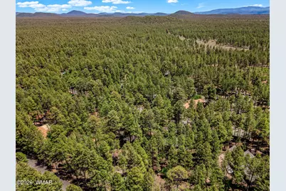 8508 Hiawatha Trail, Pinetop, AZ 85935 - Photo 30