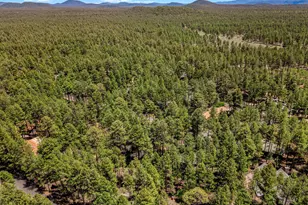 8508 Hiawatha Trail, Pinetop, AZ 85935 - Photo 30