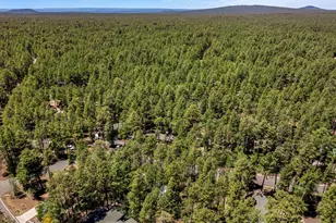 8508 Hiawatha Trail, Pinetop, AZ 85935 - Photo 32