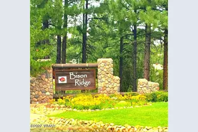 2320 N Cottage Trail, Unit C-2 #C-2, Show Low, AZ 85901 - Photo 32