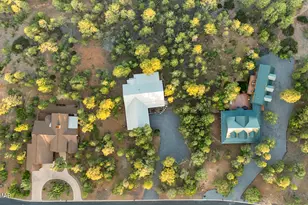 2361 S Sierra Park Trail, Show Low, AZ 85901 - Photo 46