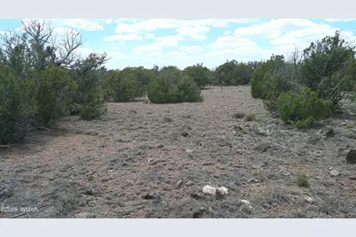 Tbd Show Low Pines Lot 189, Concho, AZ 85924 - Photo 8