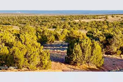 Tbd Co Rd N7120 40 Acres, Saint Johns, AZ 85936 - Photo 18