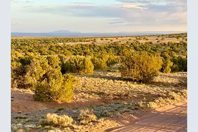 Tbd Co Rd N7120 40 Acres, Saint Johns, AZ 85936 - Photo 16