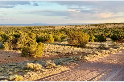 Tbd Co Rd N7120 40 Acres, Saint Johns, AZ 85936 - Photo 6