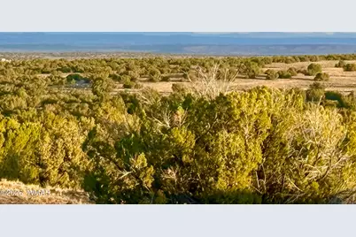 Tbd Co Rd N7120 40 Acres, Saint Johns, AZ 85936 - Photo 1