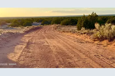 Tbd Co Rd N7120 40 Acres, Saint Johns, AZ 85936 - Photo 12