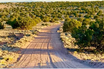 Tbd Co Rd N7120 40 Acres, Saint Johns, AZ 85936 - Photo 4