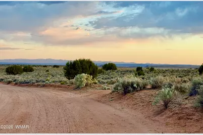 Tbd Co Rd N7120 40 Acres, Saint Johns, AZ 85936 - Photo 14