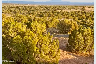 Tbd Co Rd N7120 40 Acres, Saint Johns, AZ 85936 - Photo 8