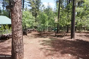 2843 S Cougar Ln, Pinetop, AZ 85935 - Photo 34