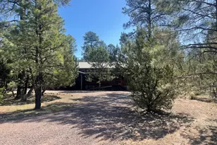 2871 Moose Trail, Overgaard, AZ 85933 - Photo 24