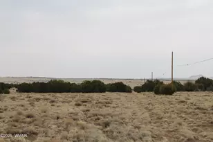 21 County Rd, Concho, AZ 85924 - Photo 1