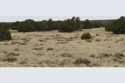 21 County Road, Concho, AZ 85924 - Photo 12