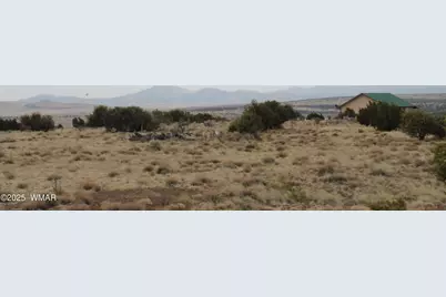 21 County Road, Concho, AZ 85924 - Photo 4