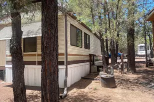 1930 Larson Rd, Lakeside, AZ 85929 - Photo 8