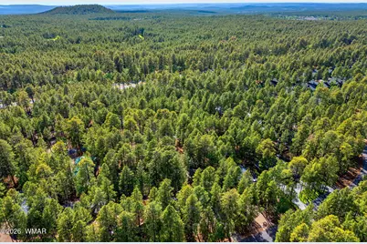 3197 Drift Fence Circle, Pinetop, AZ 85935 - Photo 38