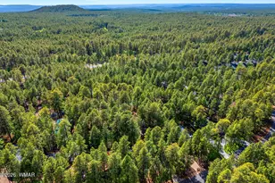 3197 Drift Fence Cir, Pinetop, AZ 85935 - Photo 38