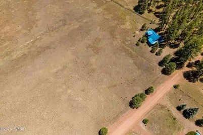 16 County Road 2089, Alpine, AZ 85920 - Photo 4
