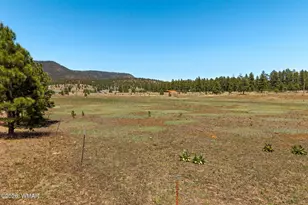 16 Co Rd 2089, Alpine, AZ 85920 - Photo 1