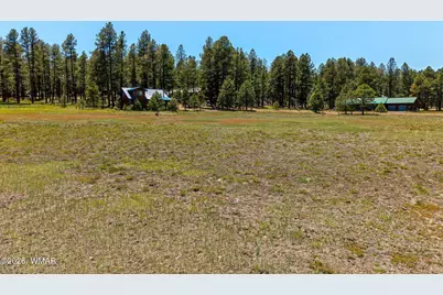 16 County Road 2089, Alpine, AZ 85920 - Photo 14