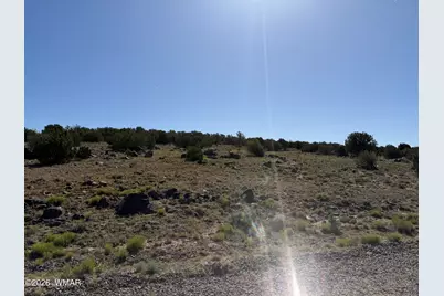 Lot 49 Windsor Valley Ranch Drive, Concho, AZ 85924 - Photo 6