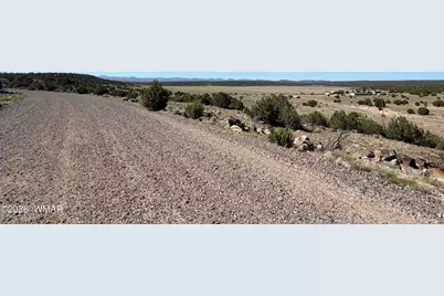 Lot 49 Windsor Valley Ranch Drive, Concho, AZ 85924 - Photo 2