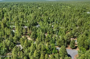 4872 Drifting Snow Loop, Pinetop, AZ 85935 - Photo 32