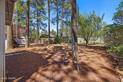 5373 Scotts Drive, Lakeside, AZ 85929 - Photo 10