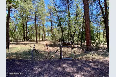 4185 S Gold Dust Trail, Show Low, AZ 85901 - Photo 6