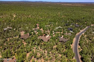 4631 W Stonecrop Ln, Show Low, AZ 85901 - Photo 44
