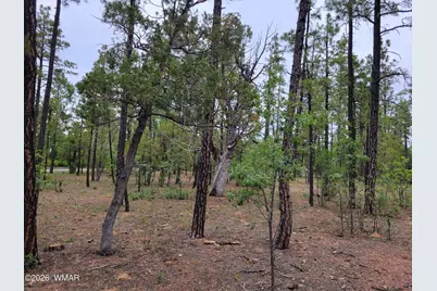 2425 S Timber Pine Lane, Pinetop, AZ 85935 - Photo 16