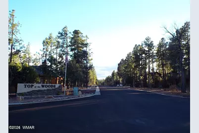 2425 S Timber Pine Lane, Pinetop, AZ 85935 - Photo 10