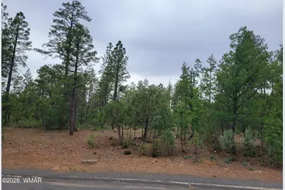 2425 S Timber Pine Lane, Pinetop, AZ 85935 - Photo 4