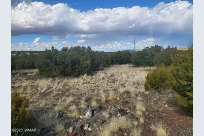 Tbd Cr 5166, Concho, AZ 85924 - Photo 4
