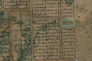 Tbd Cr 5111, Concho, AZ 85924 - Photo 1