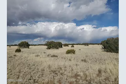 Tbd Cr 5111, Concho, AZ 85924 - Photo 2